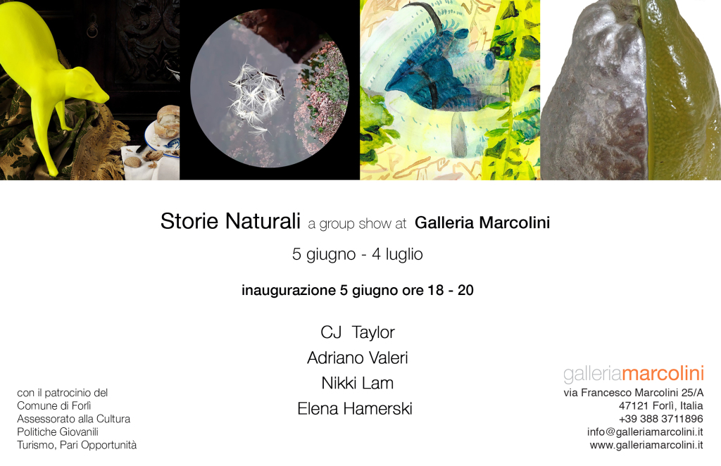 Storie Naturali at Galleria Marcolini, Italy