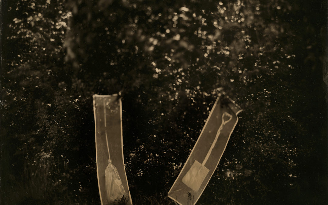 Shimmer Photographic Biennale