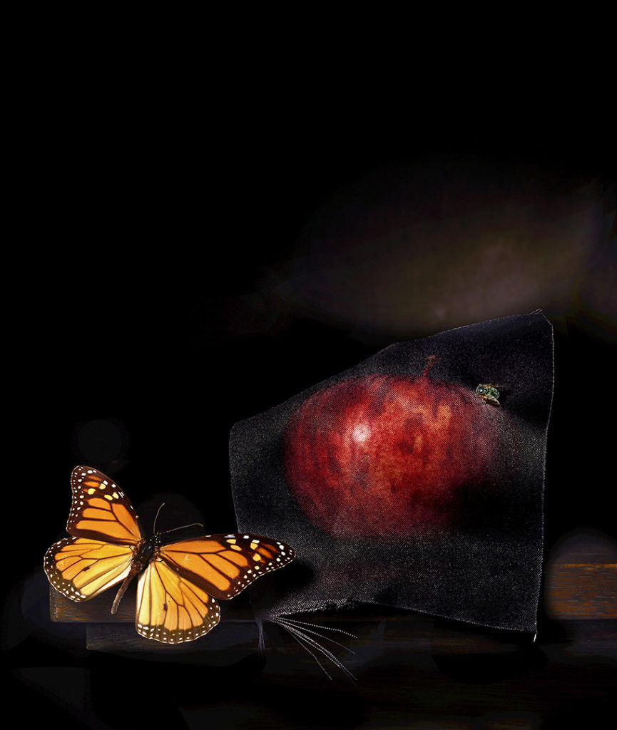 Still life with apple and green fly