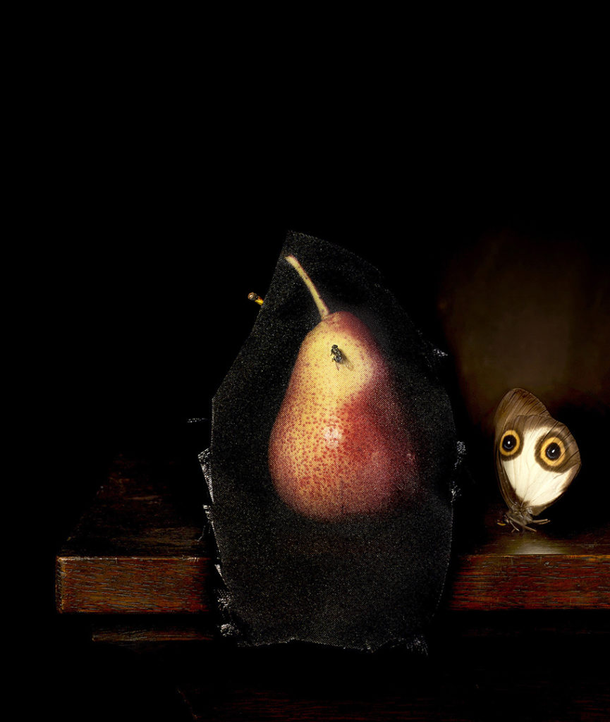 Still life with pear and housefly