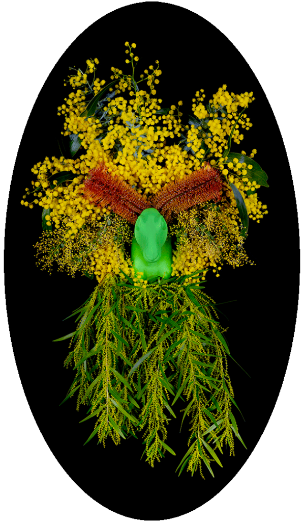 Rabbit with banksia cartouche