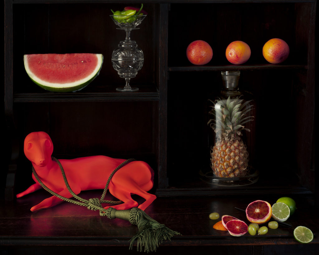 Still life with watermelon, blood oranges and Thylacine Pup